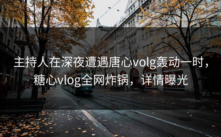 主持人在深夜遭遇唐心volg轰动一时,糖心vlog全网炸锅,详情曝光 主持人在深夜遭遇唐心volg轰动一时,糖心vlog全网炸锅,详情曝光