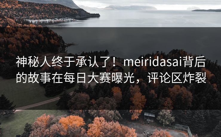 神秘人终于承认了！meiridasai背后的故事在每日大赛曝光，评论区炸裂